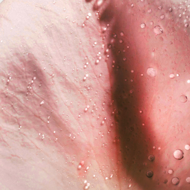 3 Ways to Unlock the Spiritual and Skin Benefits of Rose Water
