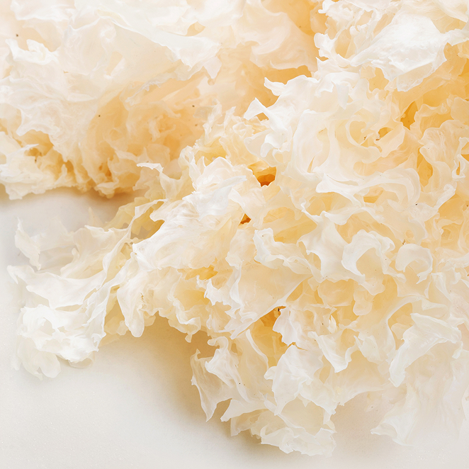 The Benefits of Snow Mushroom for Radiant Skin