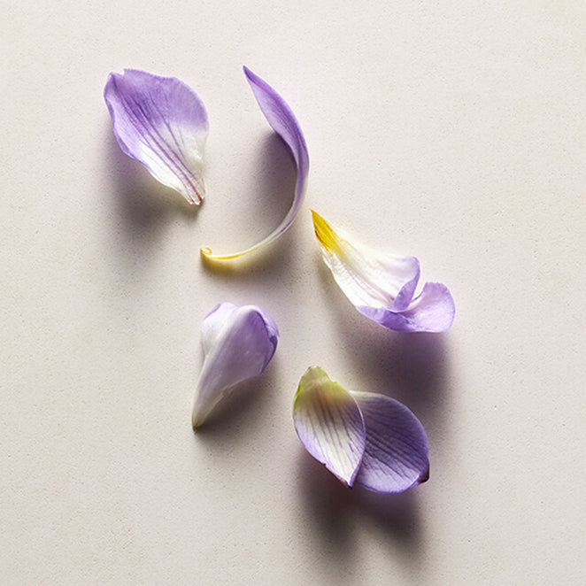 Bakuchiol Skin Benefits