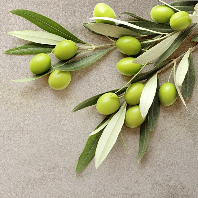 Olive Fruit