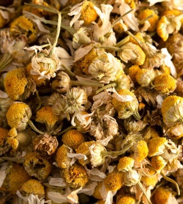 CHAMOMILE