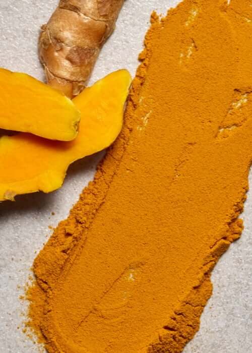 NEW: Ingredient Glossary